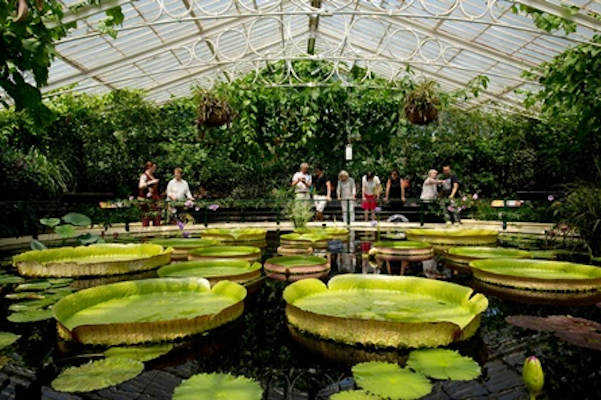 Visit to Kew Gardens for Two Adults 3