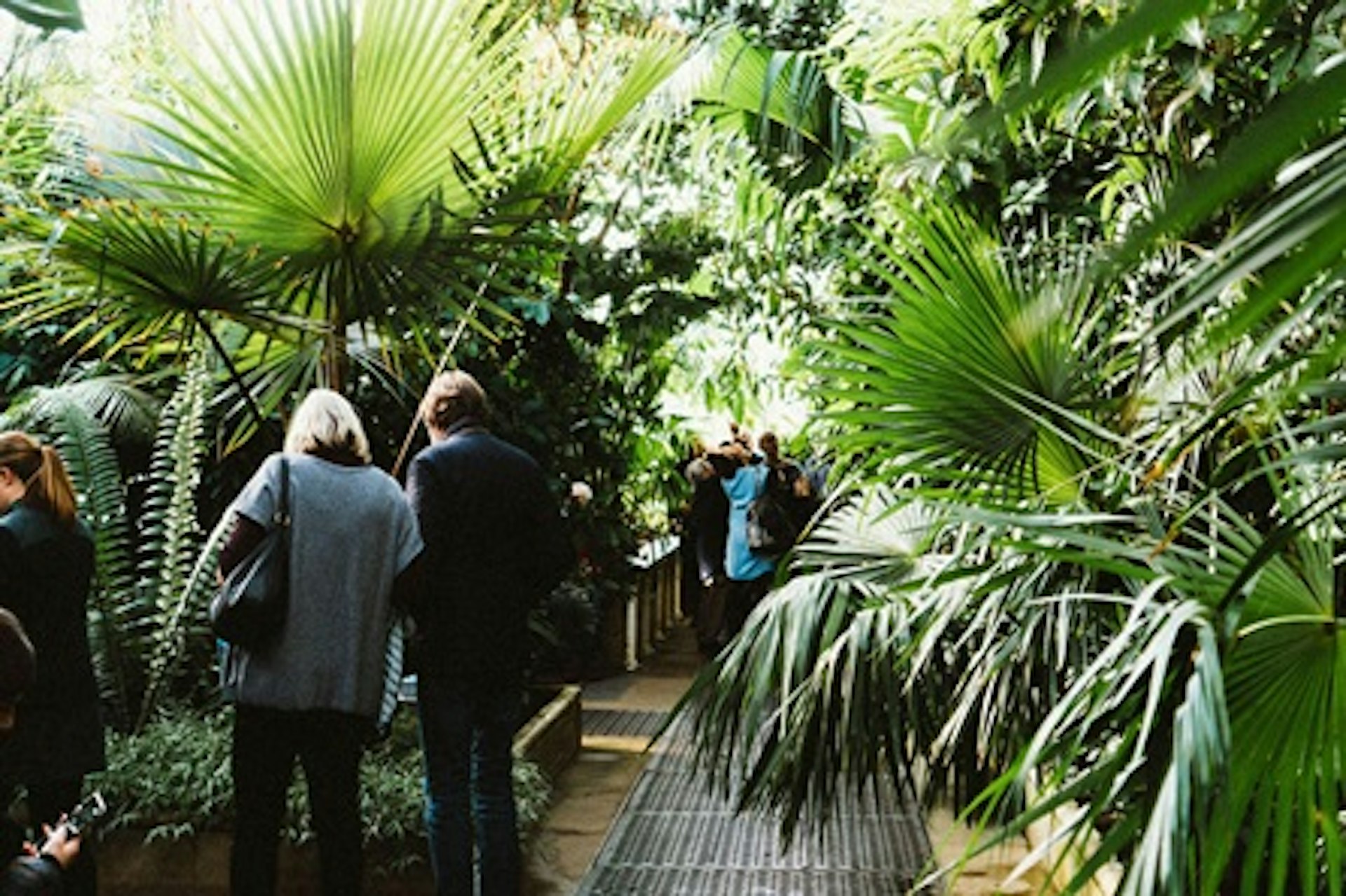 Visit to Kew Gardens with Prosecco Afternoon Tea at The Botanical for Two 4