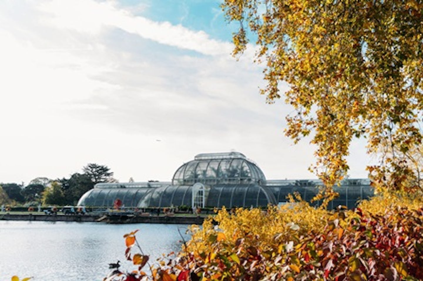 Visit to Kew Gardens and Prosecco Afternoon Tea at The Botanical for Two