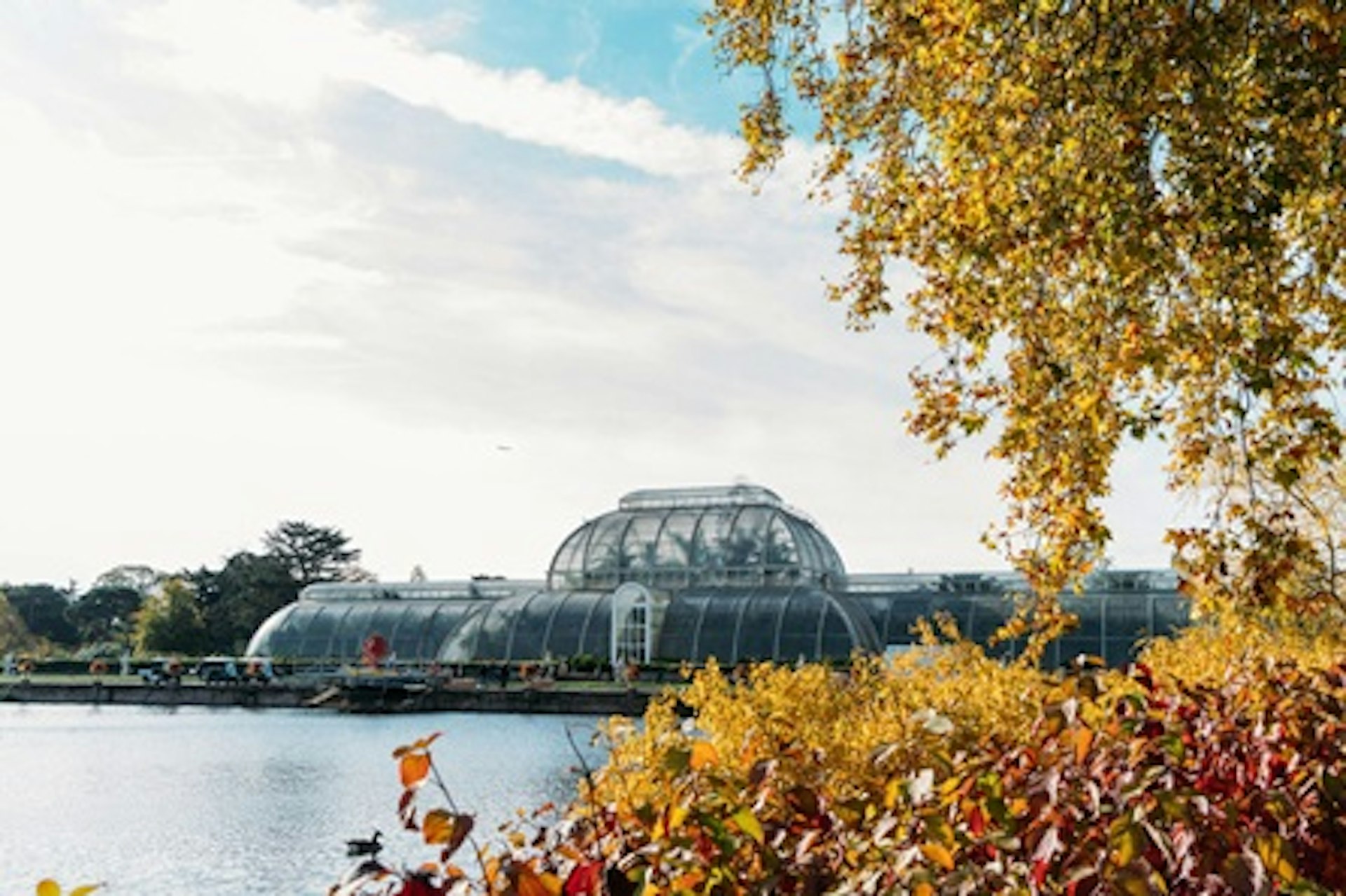 Visit to Kew Gardens with Prosecco Afternoon Tea at The Botanical for Two 2