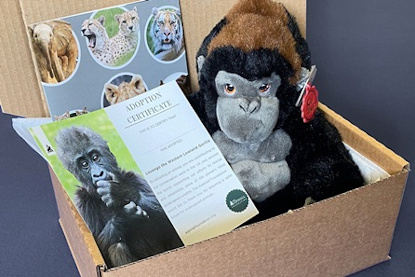 Visit to Port Lympne Reserve and Truck Safari for a Family of Four with Shared Animal Adoption 3