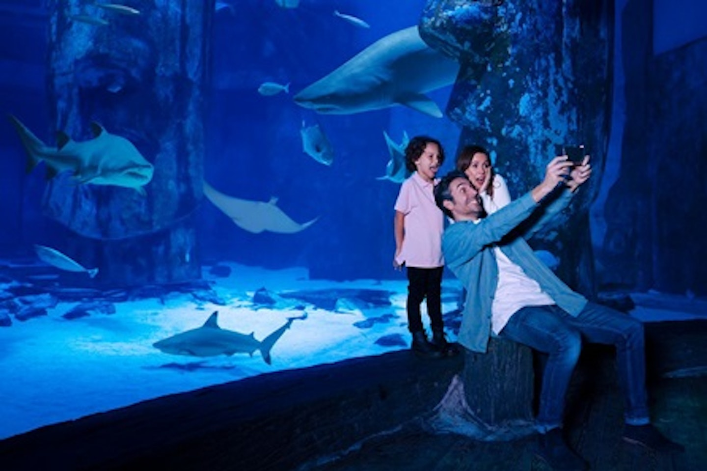 Visit to SEA LIFE London Aquarium for Two Adults and Two Children 3