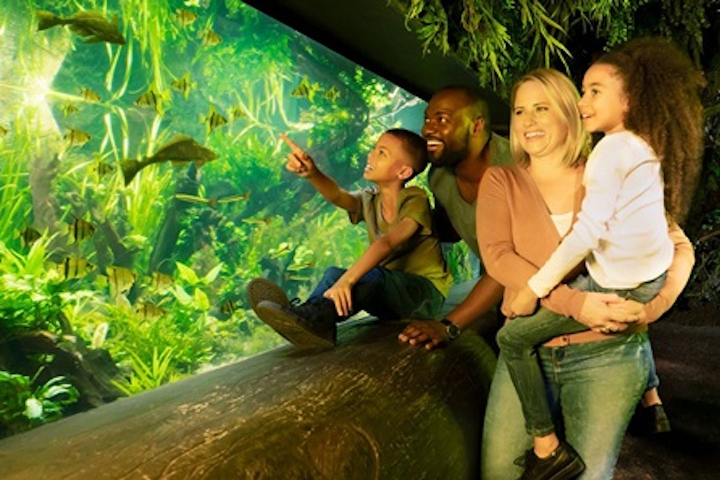 Visit to SEA LIFE London Aquarium for Two Adults and Two Children 4