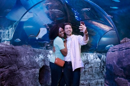 Visit to SEA LIFE London Aquarium for Two Adults 1