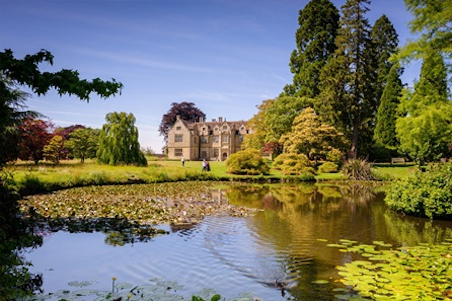 Visit to Wakehurst Wild Botanic Garden for Two 1