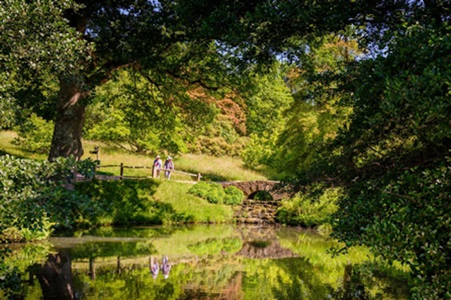 Visit to Wakehurst Wild Botanic Garden for Two 3