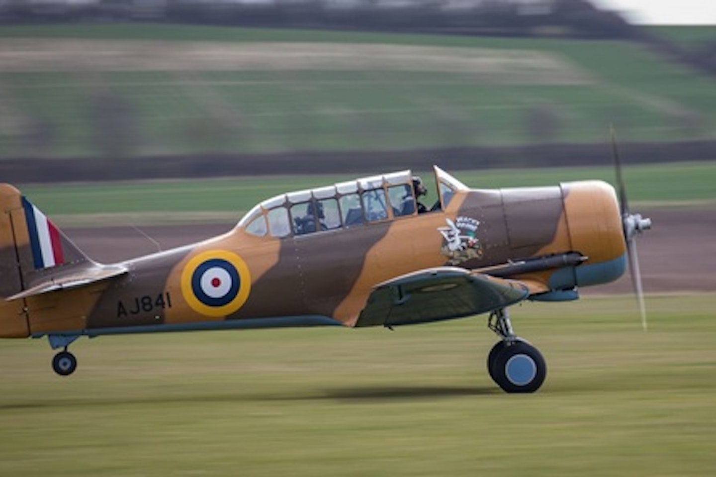 Warbird T-6 Harvard Introductory Flight with Basic Aerobatics 1