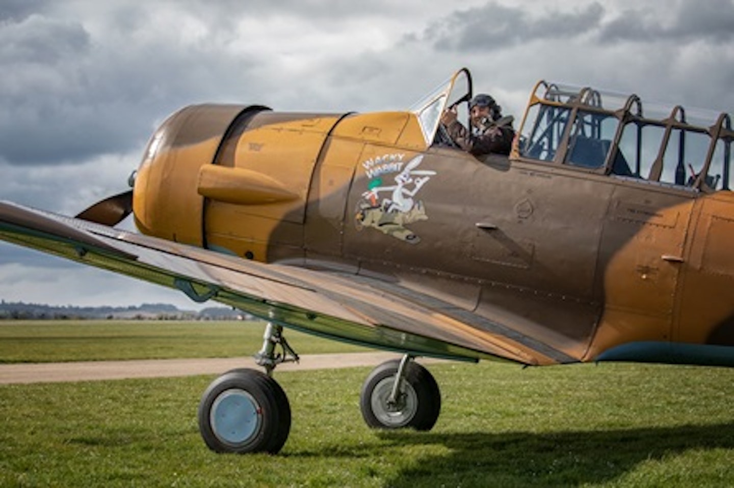 Warbird T-6 Harvard Introductory Flight with Basic Aerobatics 2