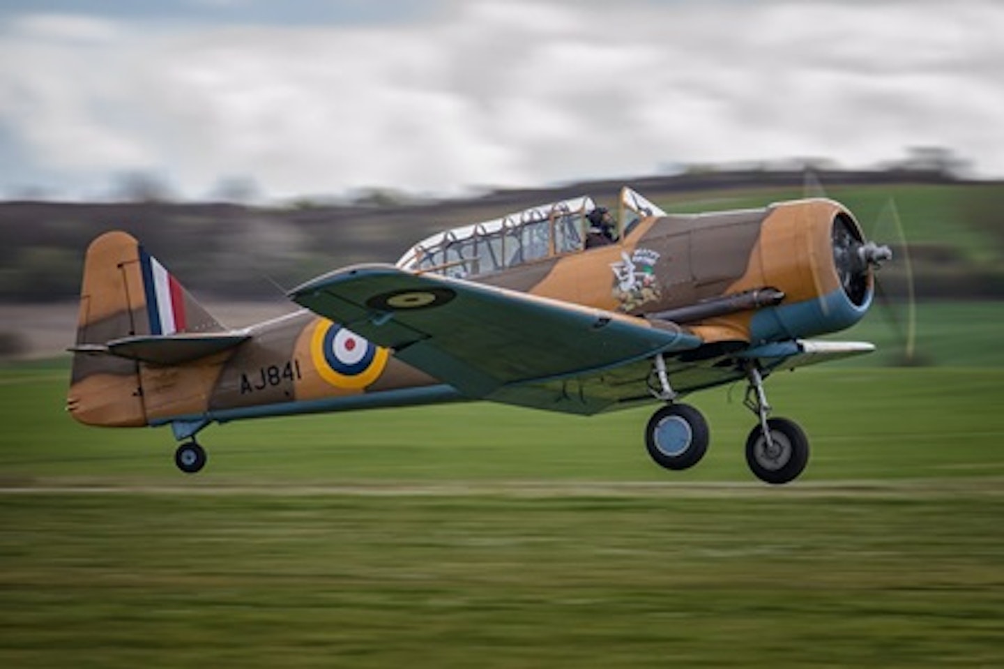 Warbird T-6 Harvard Introductory Flight with Extreme Aerobatics 1