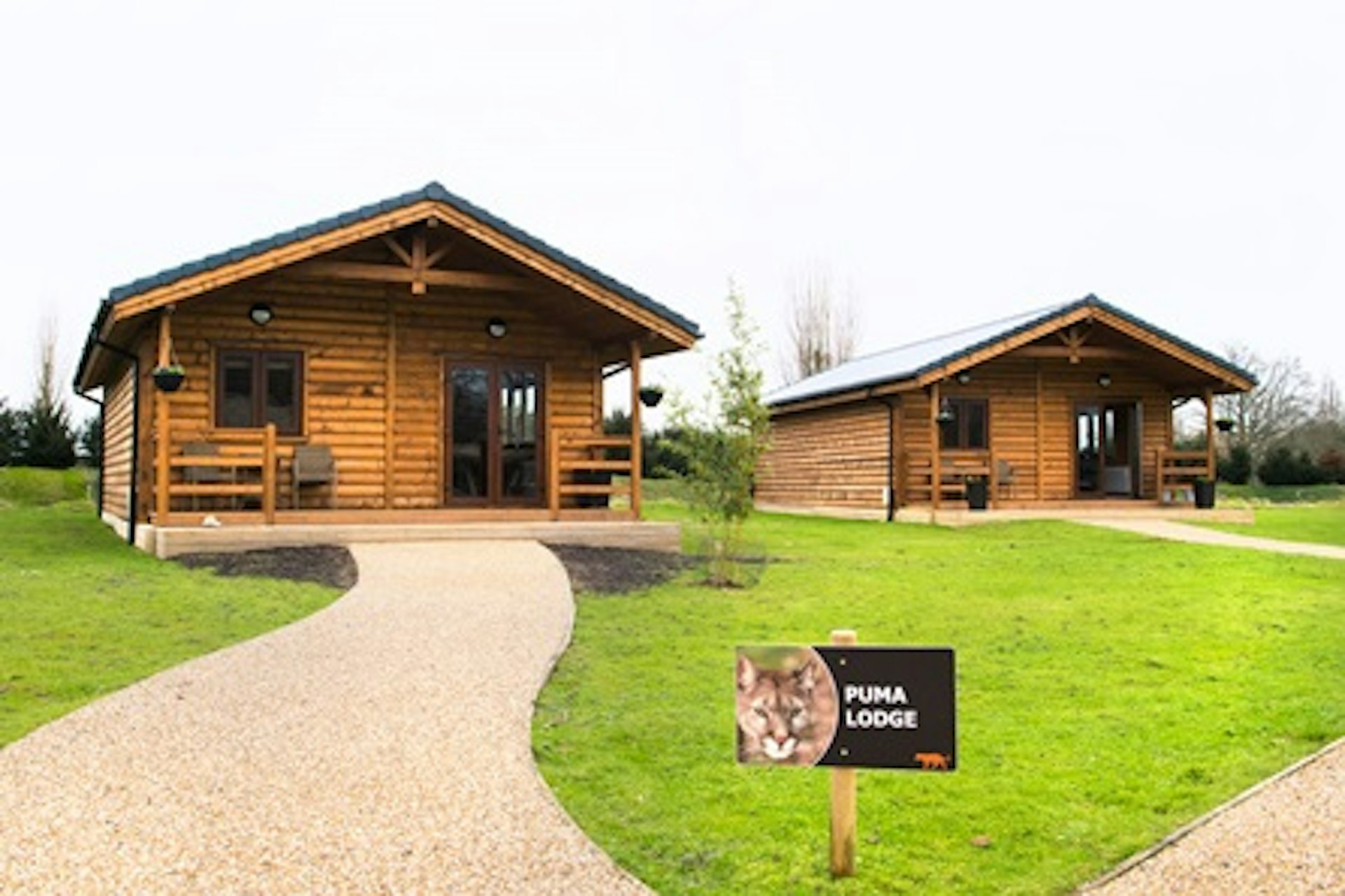 Weekend Luxury Lodge Stay with Dining and Hand Feeding Experience for Two at The Big Cat Sanctuary 2