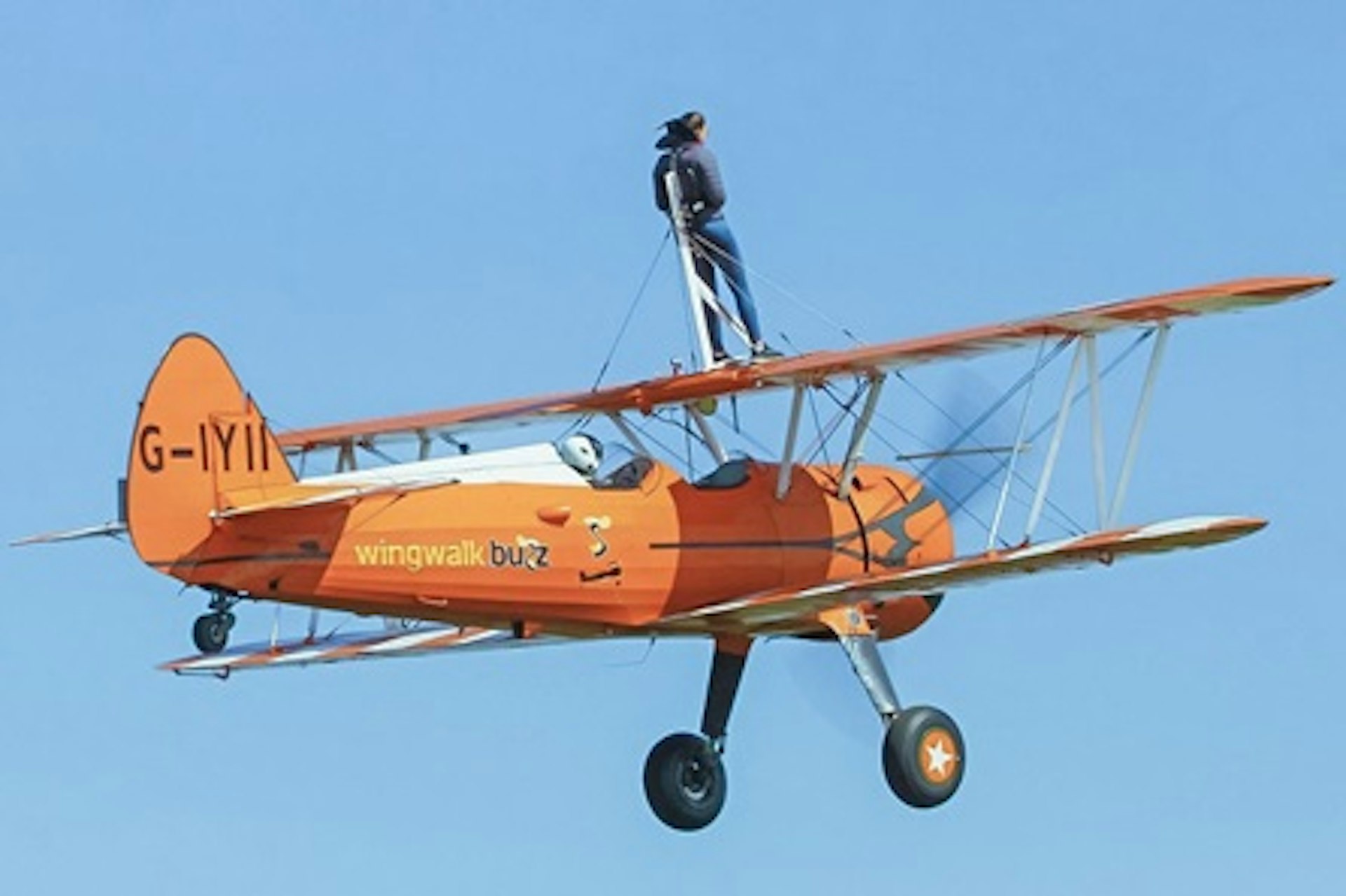 Wing Walking Experience 3