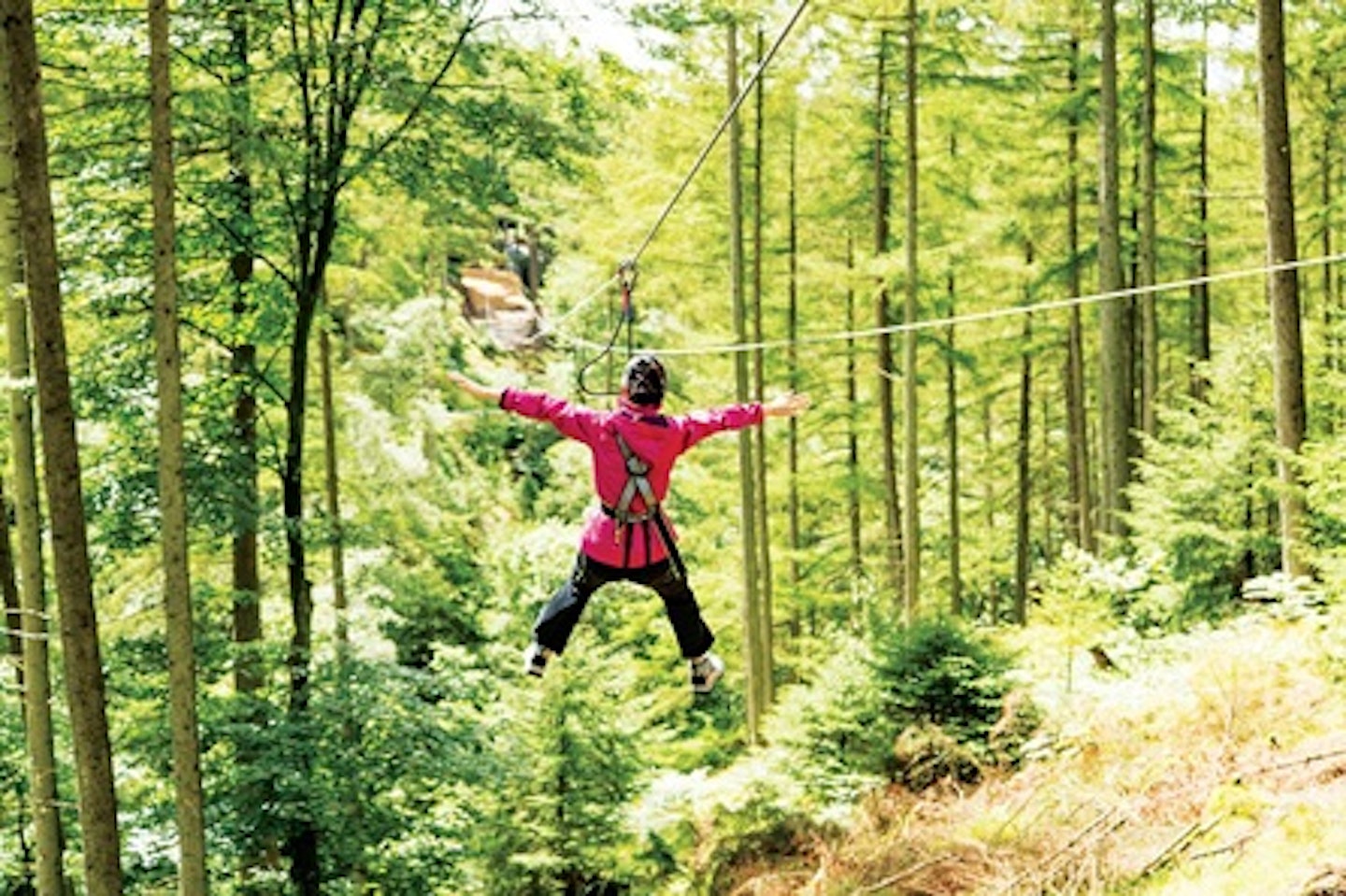 Zip Trekking Adventure for One at Go Ape 1