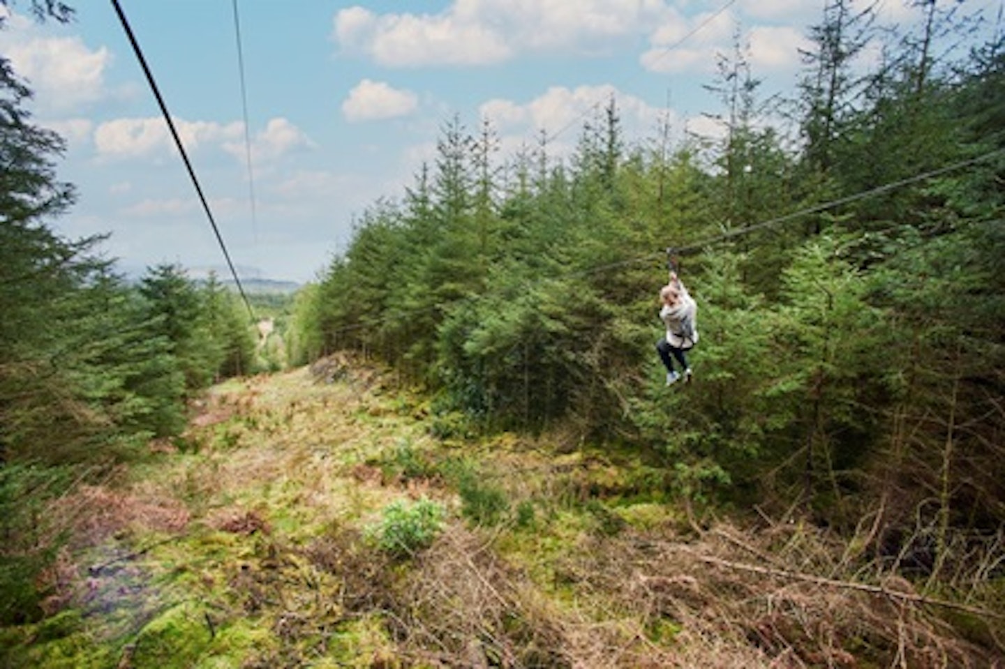 Zip Trekking Adventure for One at Go Ape 2