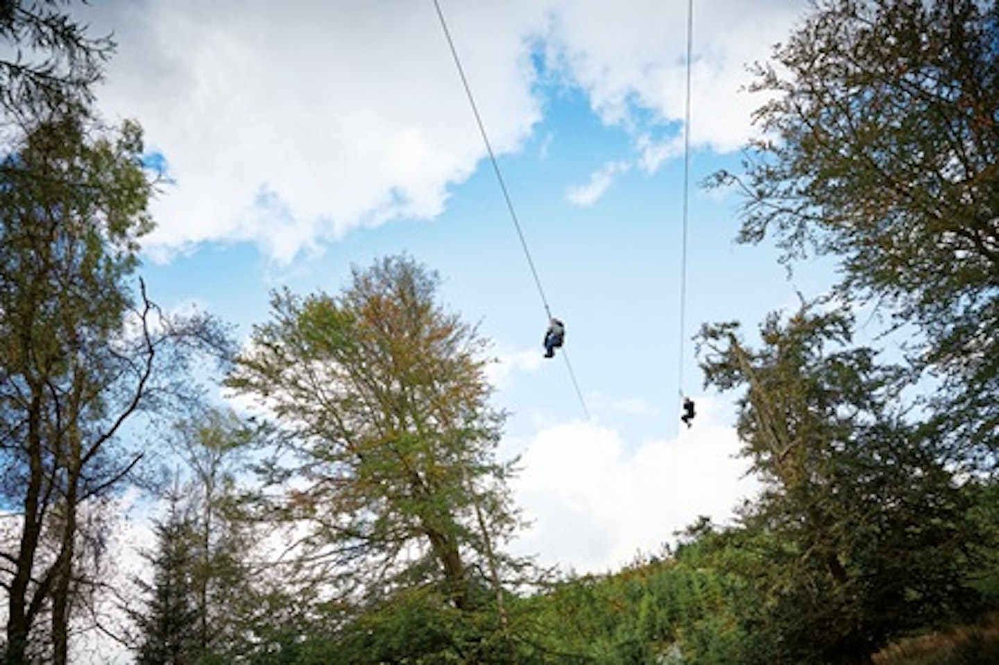 Zip Trekking Adventure for One at Go Ape